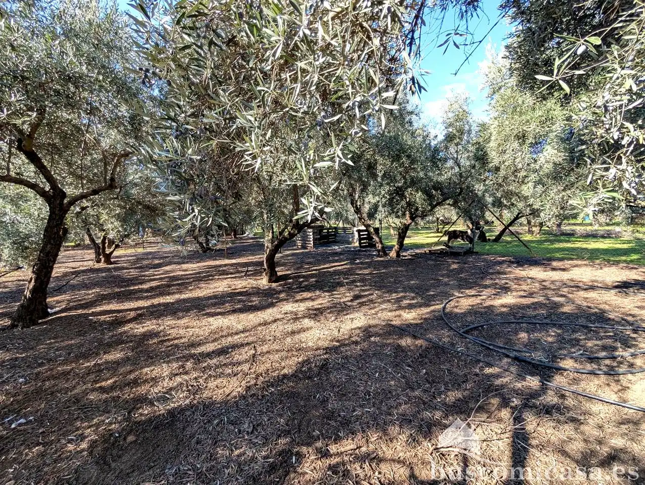Casa rústica con piscina en venta en Piedra Rodadera, imagen 24