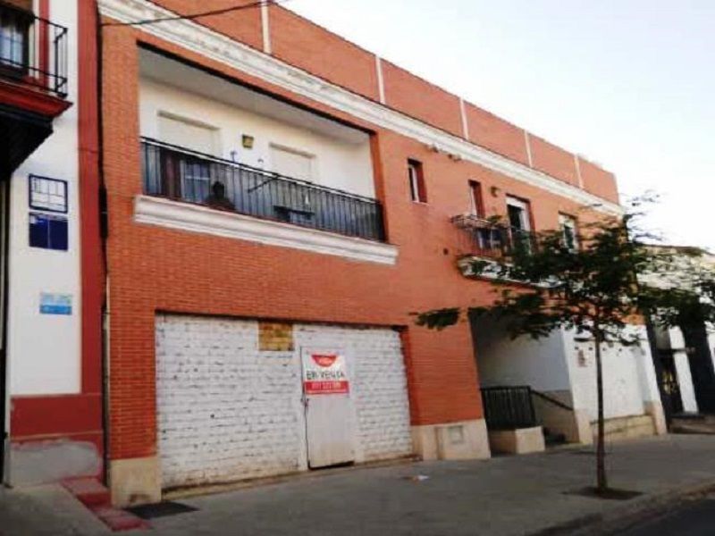 Exterior view of Garage for sale in Pilas