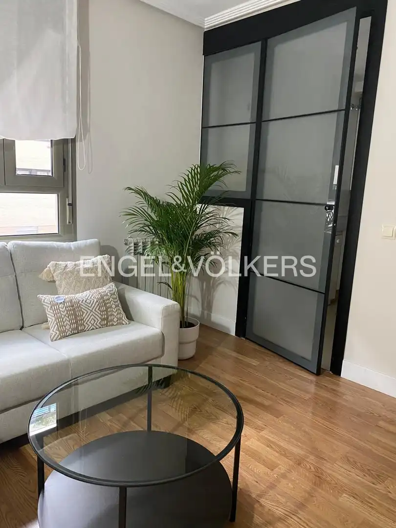 Flat for rent in Madrid  with Heating, Parquet flooring and Swimming Pool