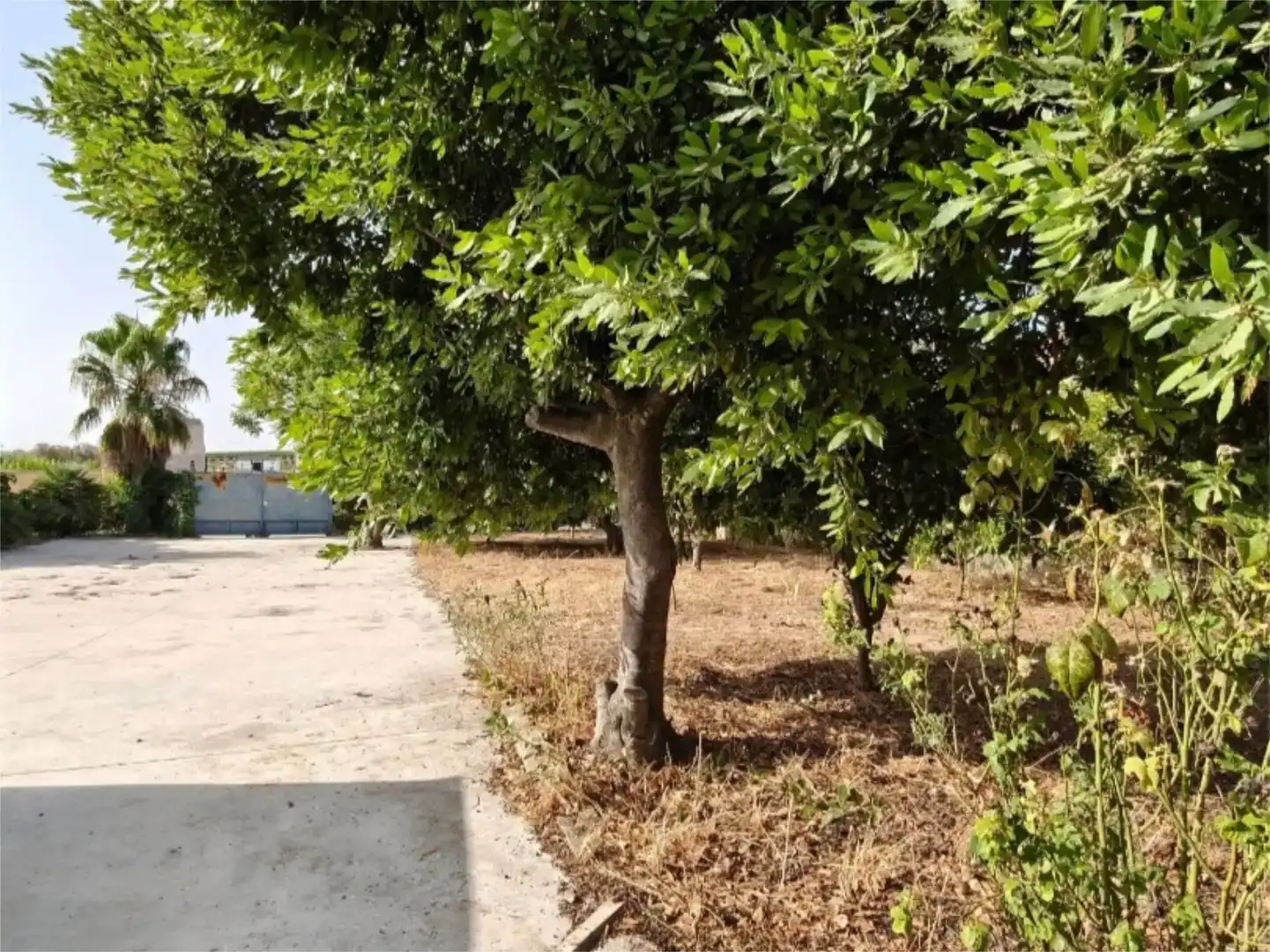Piso en venta en Fernán-Núñez