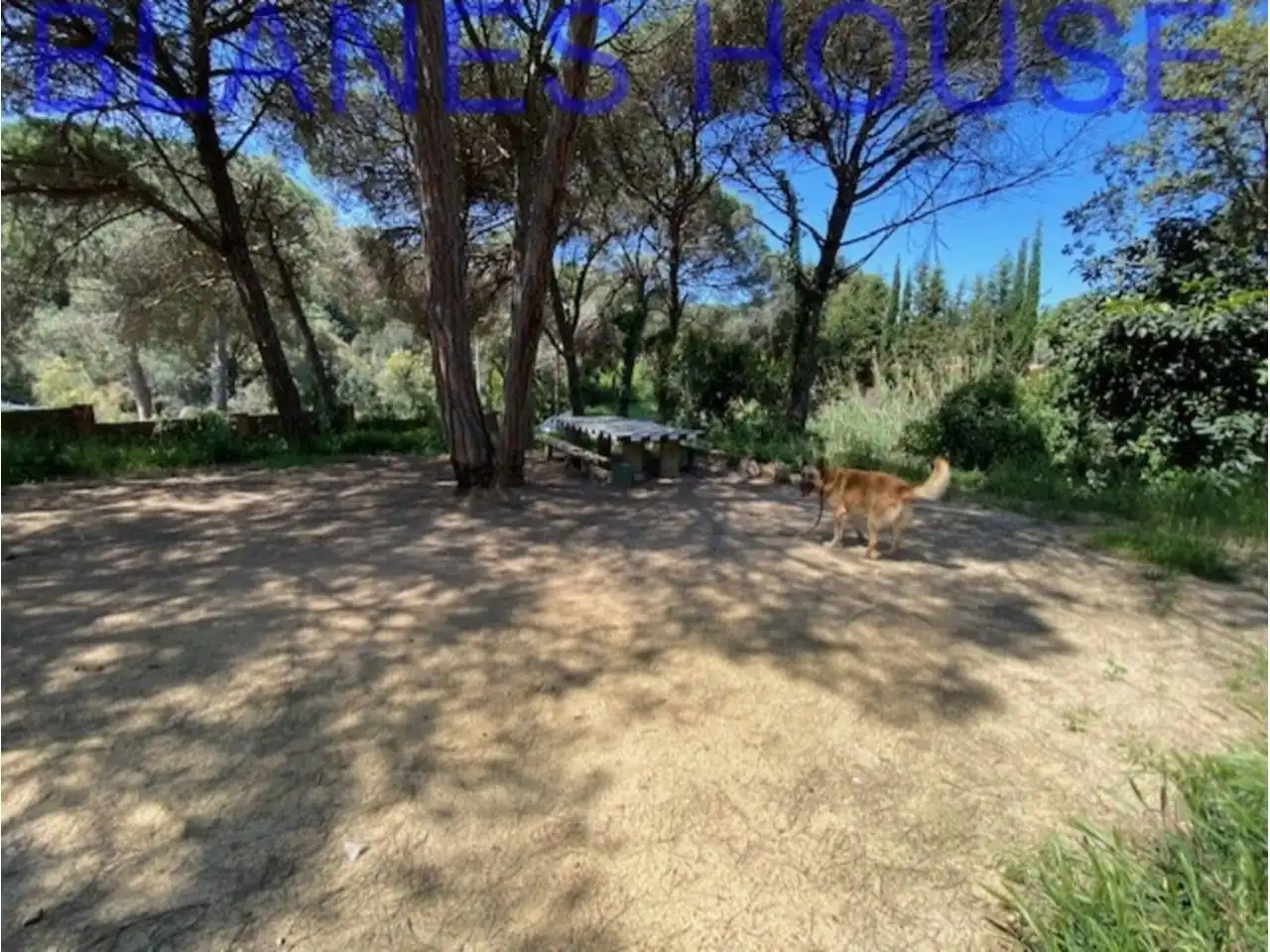 Wohnbaugrundstück zum Verkauf in Lloret Verd - Els Pinars, imagen 4
