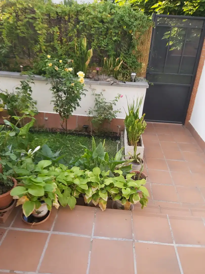 Habitación en Calle Puerto Vallarta, 1, Salvador