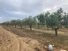 Terrenos y solares en venta en Pau