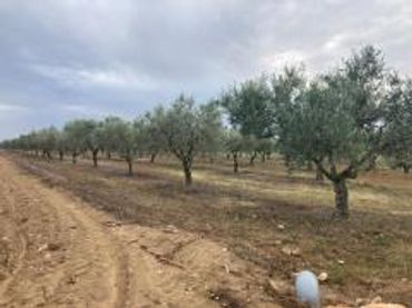 Terrenos y solares en venta en Pau