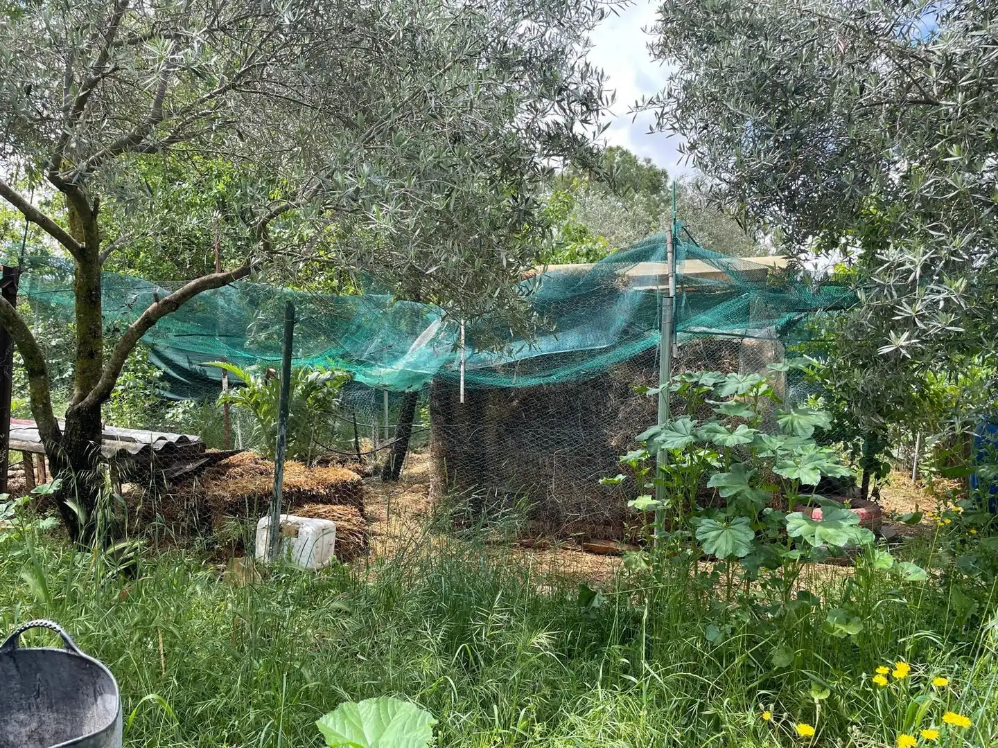 Jardí de Finca rústica en venda en Carrión de Calatrava amb Calefacció, Terrassa i Traster