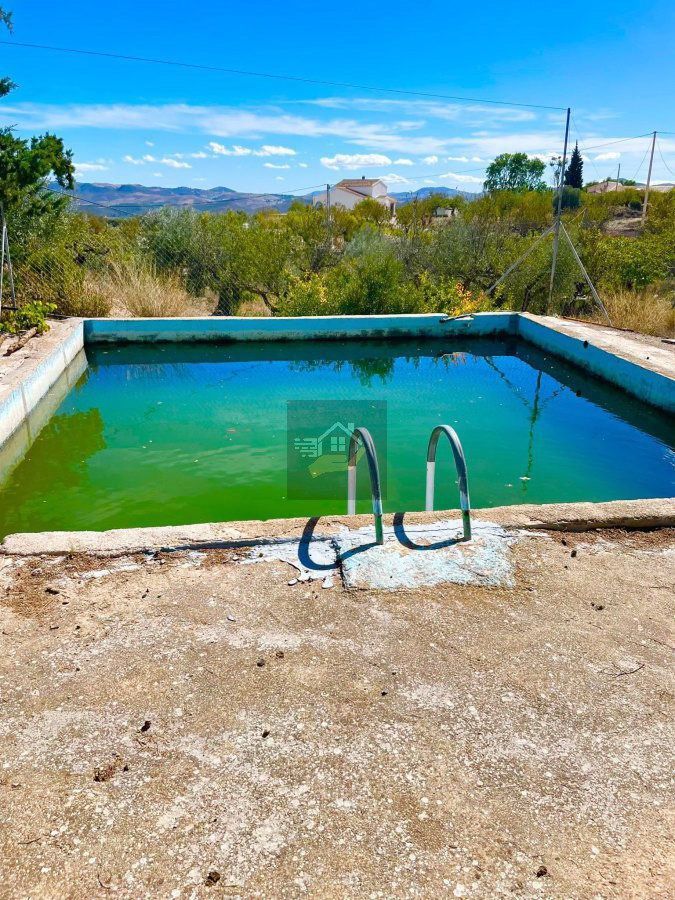 Piscina de Casa o chalet en venta en Vélez-Blanco