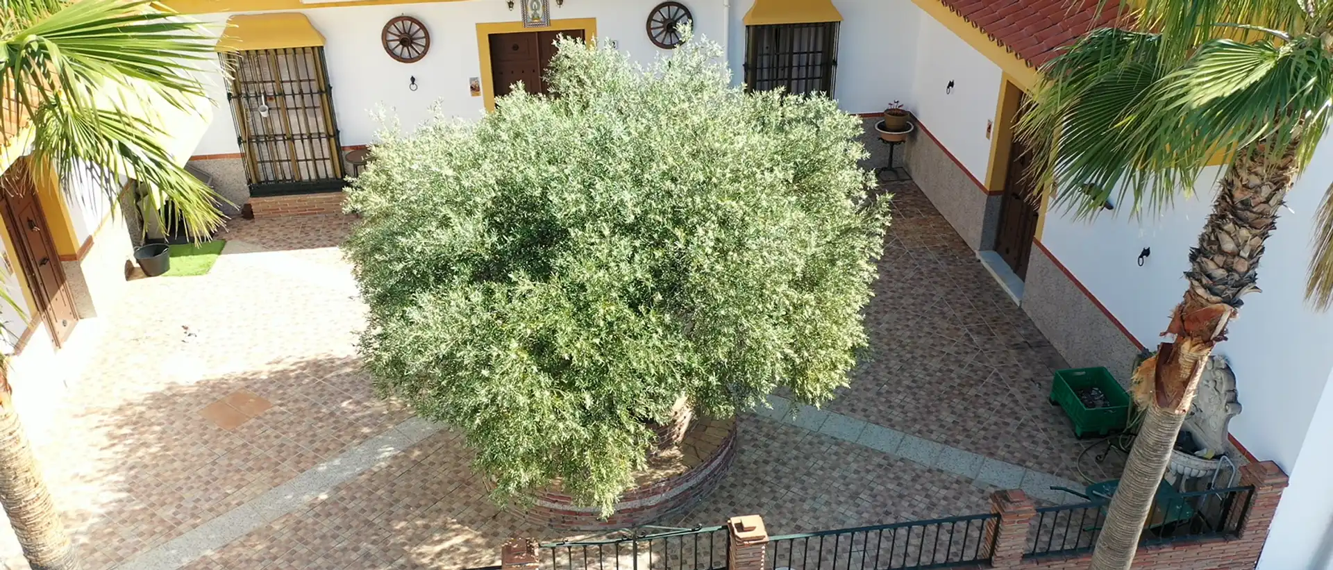 Terreni e lotti in vendita a Monda, imagen 4