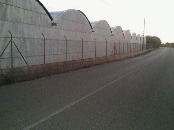 Exterior view of Industrial buildings to rent in Elche / Elx