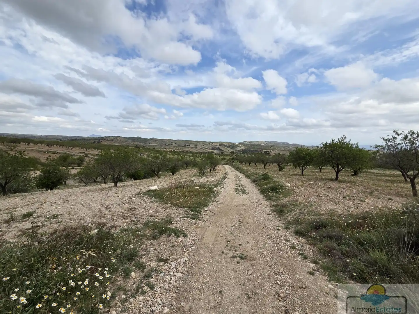 Terrenys i solars en venda a Albox, imagen 12