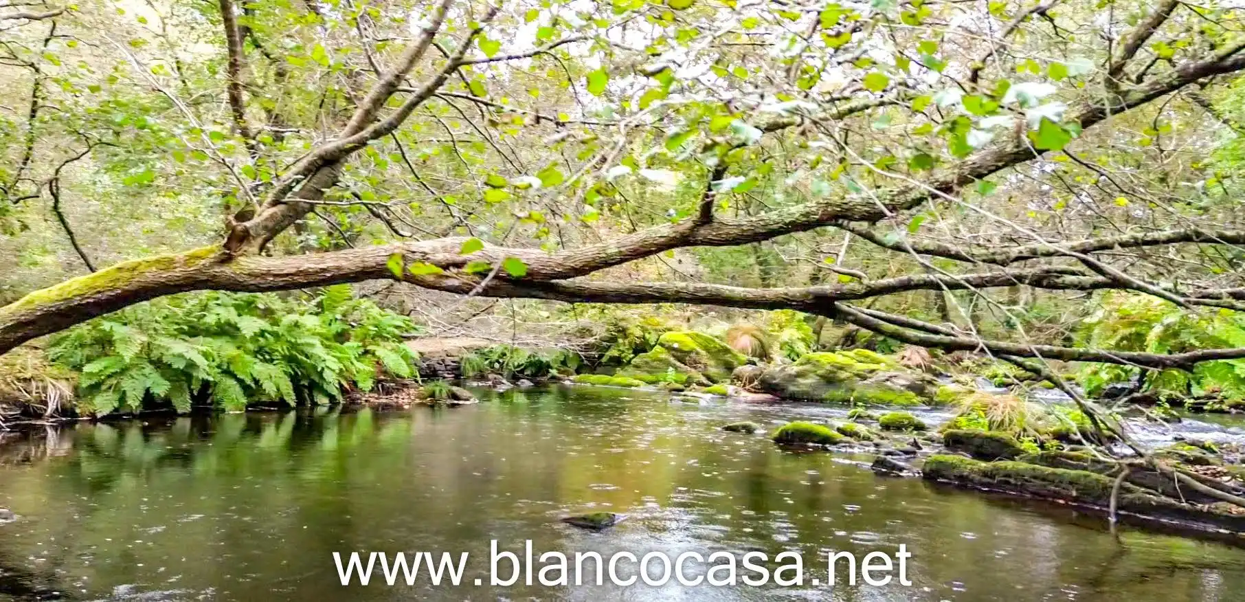 Vista exterior de Finca rústica en venta en Coristanco con Jardín privado