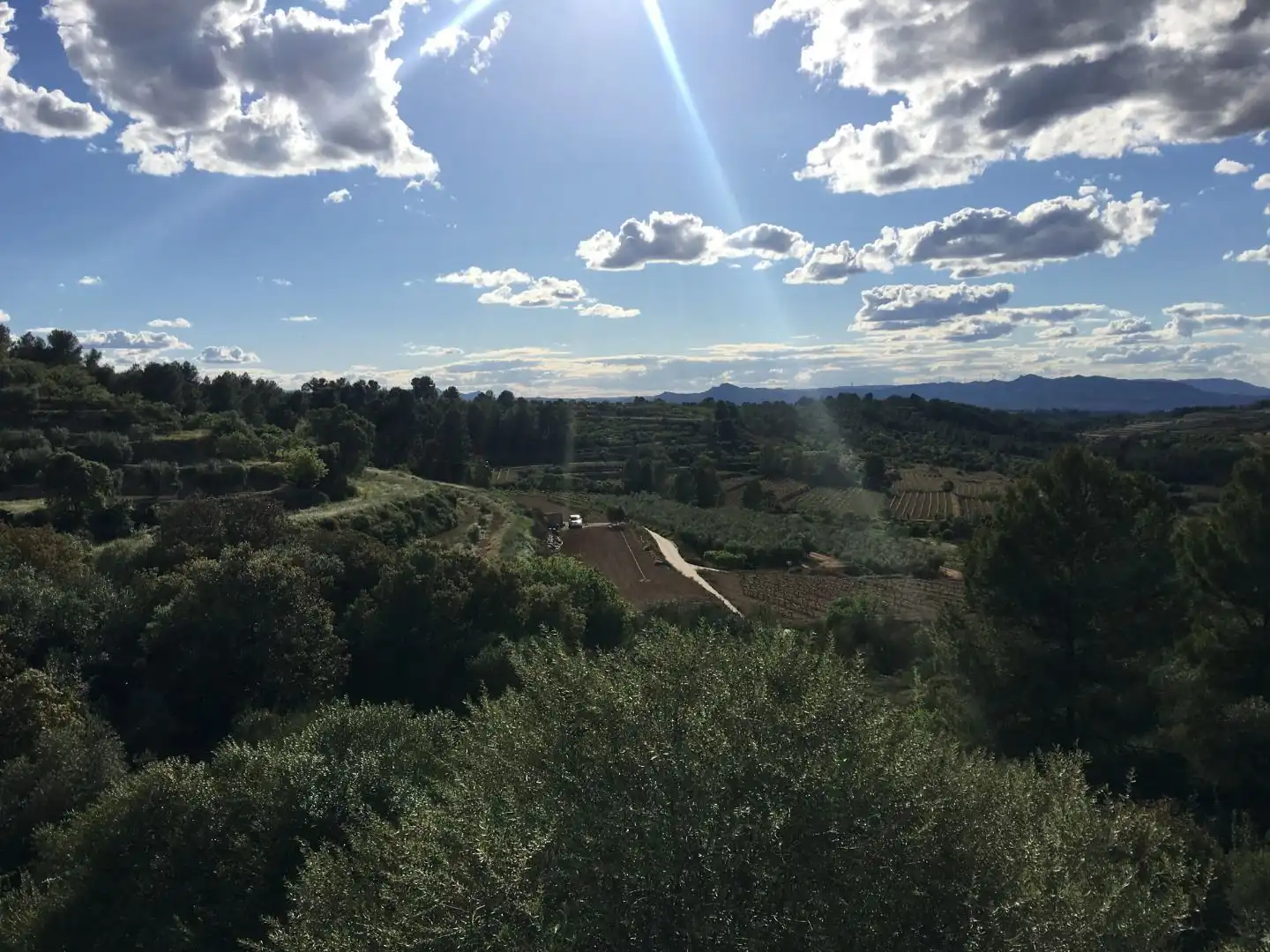Exterior view of Houses for sale in Els Guiamets