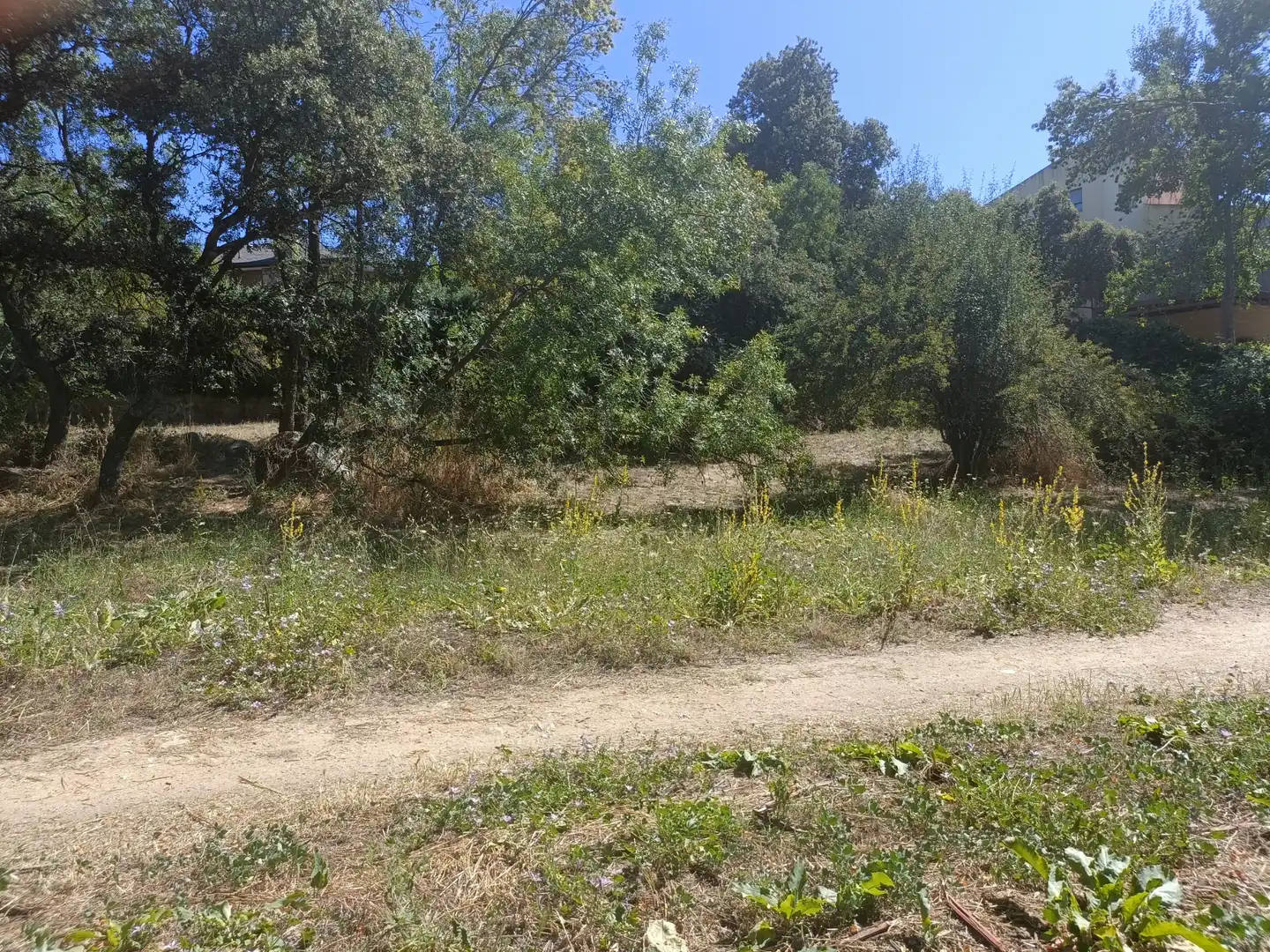 Terreny residencial en venda a Mojadillas - Parque de las Infantas - El Paraiso, imagen 11