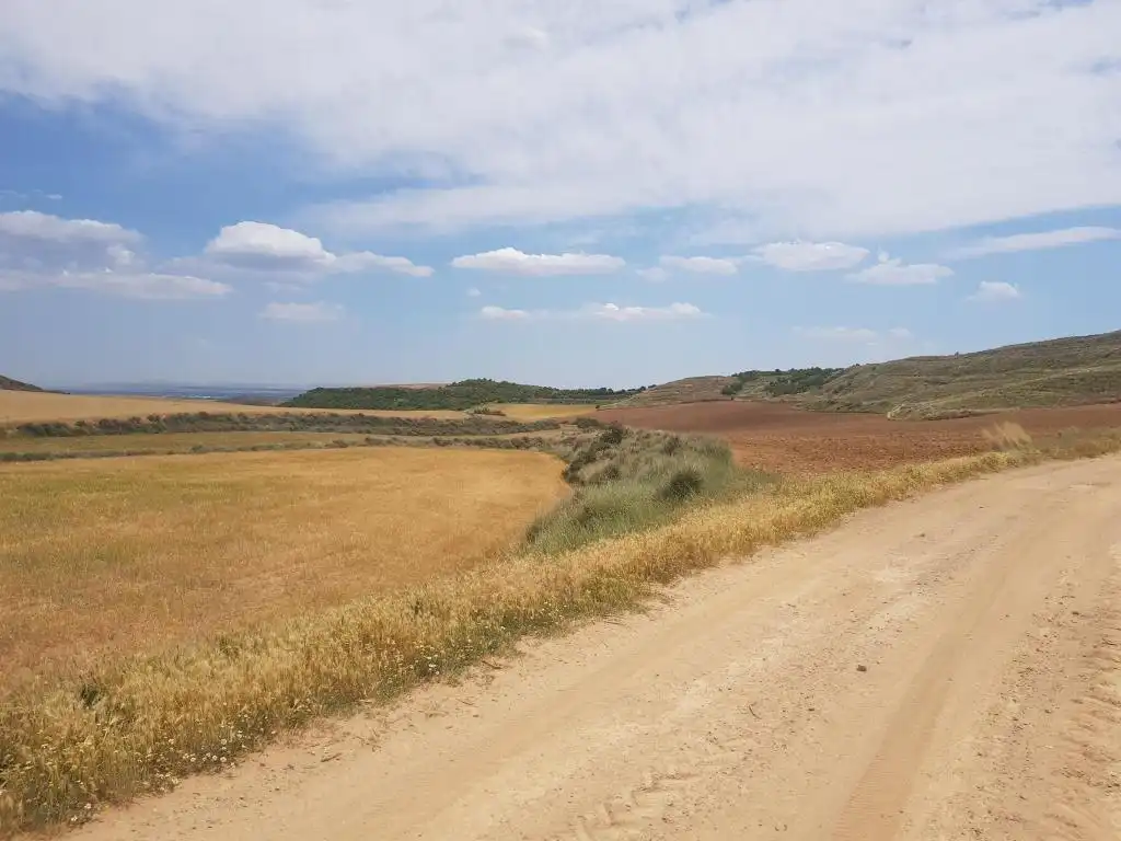 Rural land for sale in c/ palancona, imagen 8