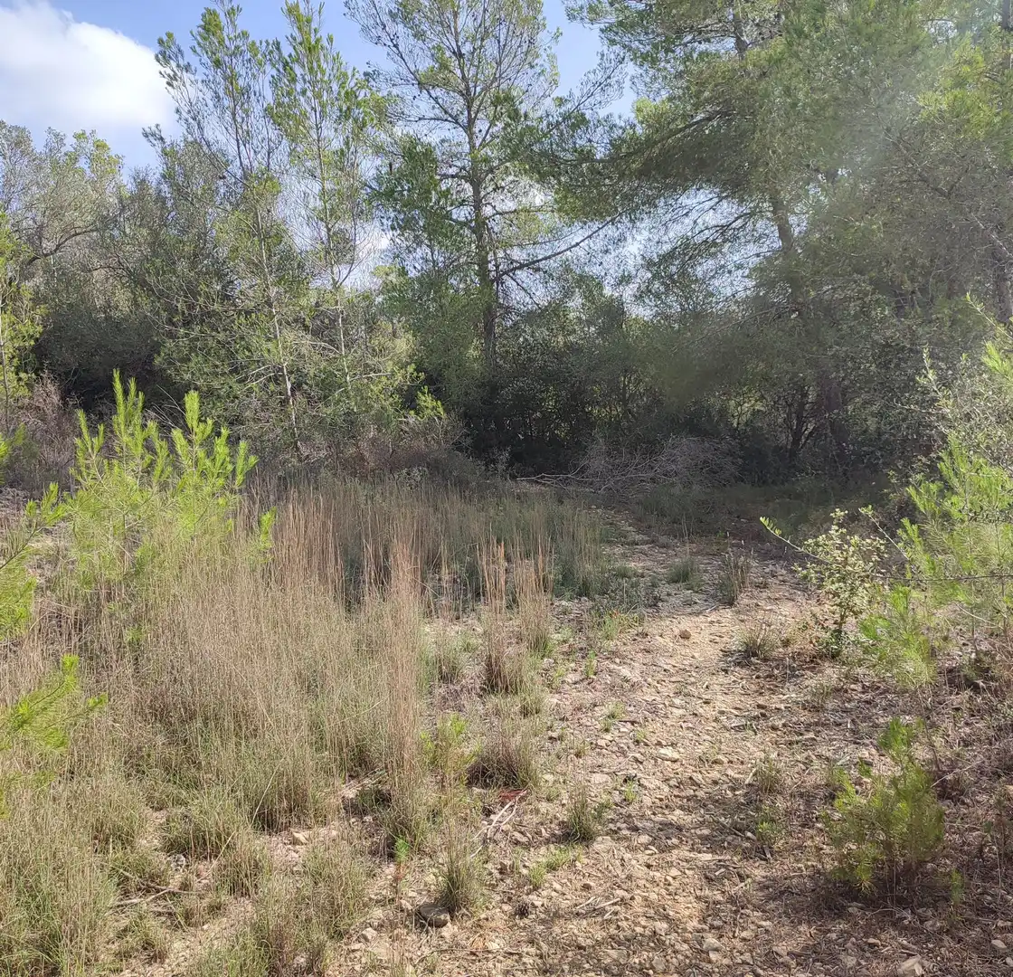 Rural land for sale in Sant Joan, imagen 10