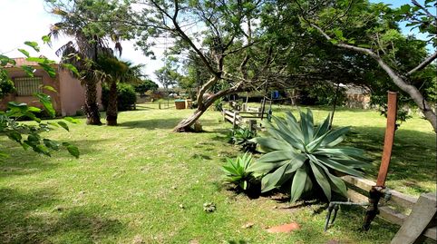 Foto 3 de Casa o chalet en venta en El Cuartón - El Bujeo, Tarifa