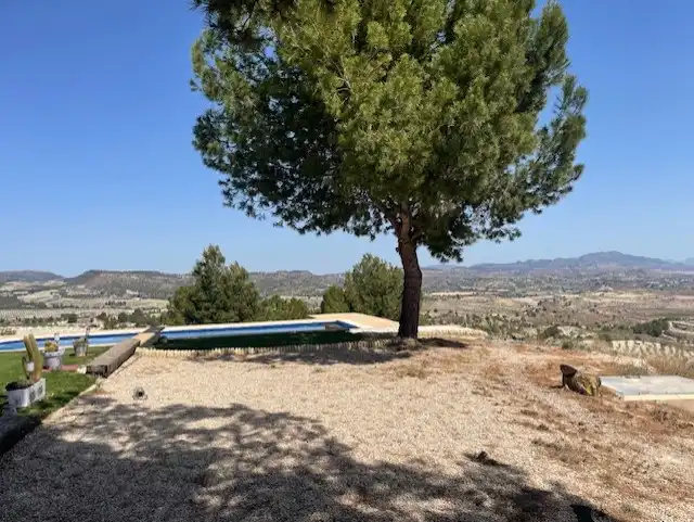 Houses for sale in Pliego