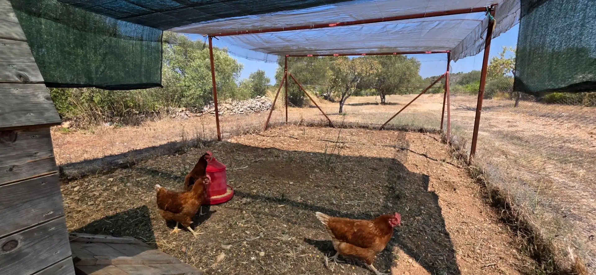 Casa rústica con piscina en venta en Tivissa, imagen 55