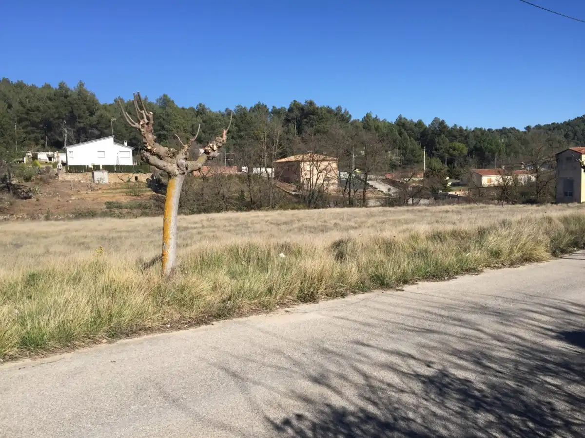 Terrenys i solars en venda a El Montmell