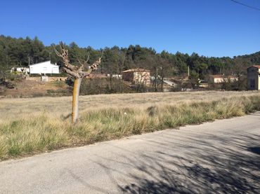 Terrenys i solars en venda a El Montmell