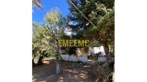 Finca con piscina a pocos minutos de Ronda, imagen 3