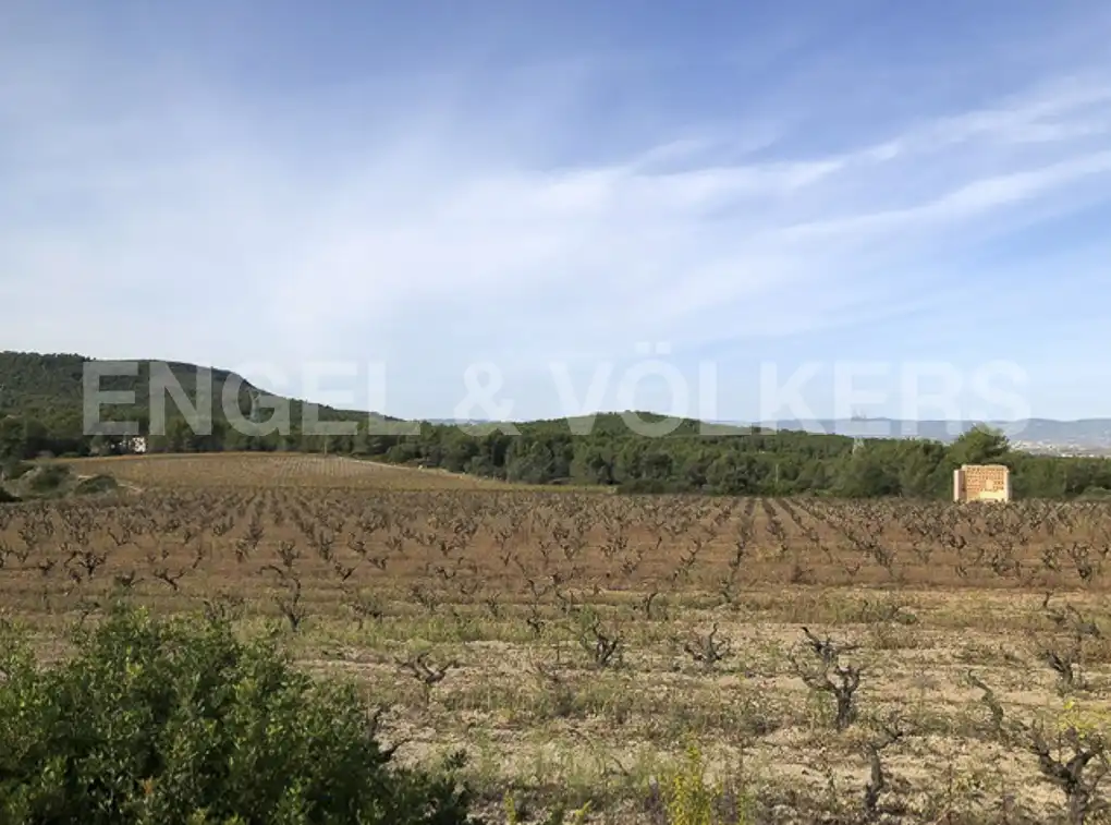 Terreny residencial en venda a Avinyonet del Penedès, imagen 3
