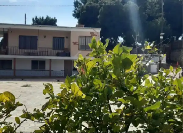 Xalet amb piscina en venda a Crevillent, imagen 4