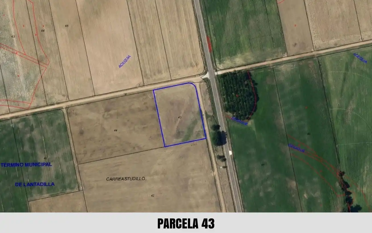 Terreno en venta en Palacios de Riopisuerga