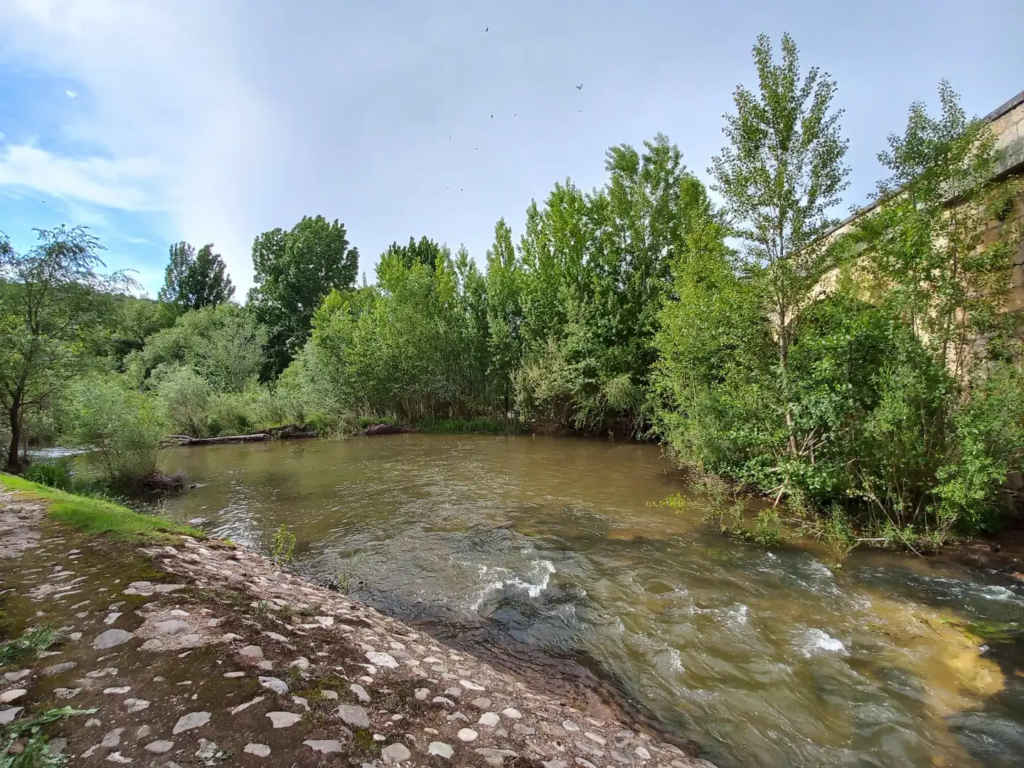 Finca rústica en venta en Covarrubias con Jardín privado y Trastero
