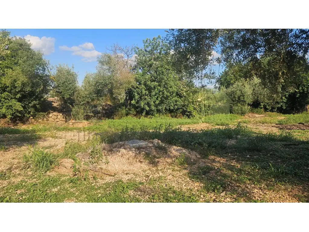 Maison rustique avec terrasse à vendre à Ulldecona, imagen 36