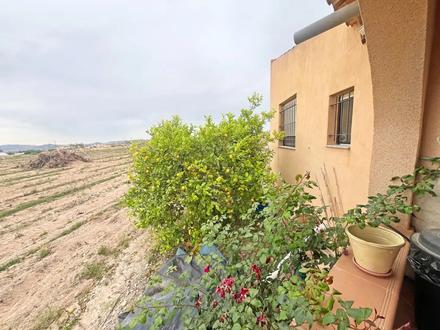 Maison rustique à vendre à Partida CURA GONZALEZ, imagen 4