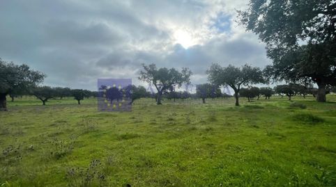 Foto 2 de Casa o chalet en venta en Jaraicejo, Cáceres