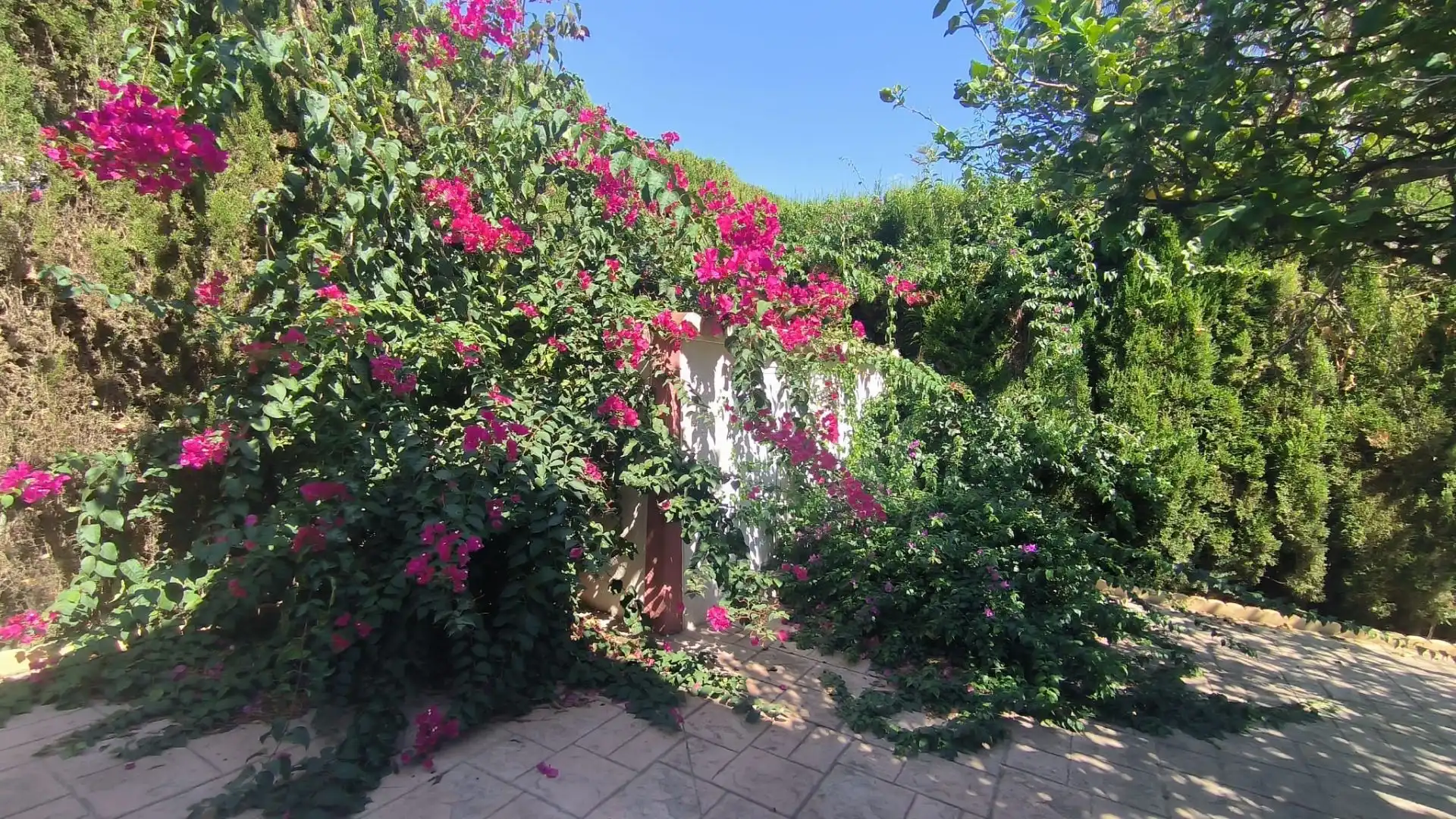 Jardí de Casa o xalet en venda en Benidorm amb Aire condicionat, Calefacció i Jardí privat