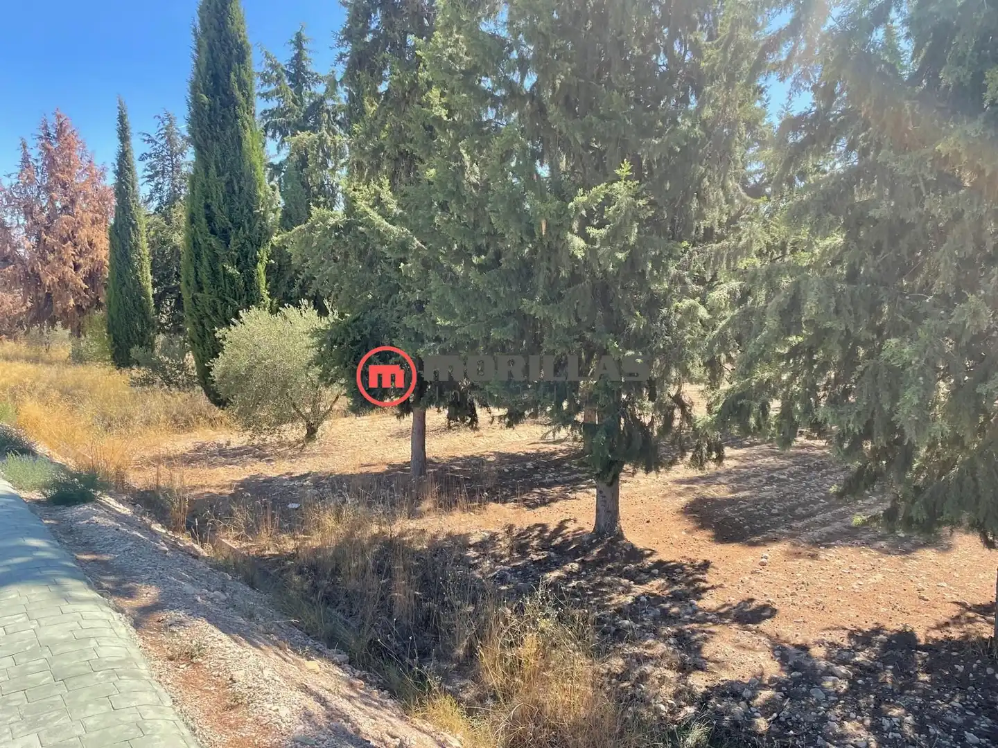Residential land for sale in Caravaca de la Cruz, imagen 8