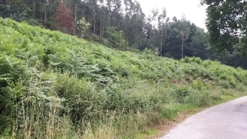Terreni e lotti in vendita a Mazcuerras, imagen 7