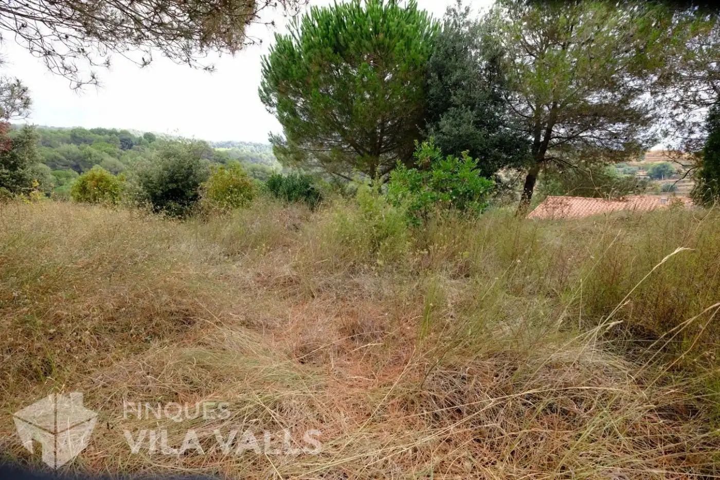 Terrenys i solars en venda a vinyetes, imagen 20