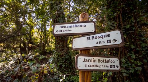 Foto 3 de Casa o chalet en venta en Grazalema, Cádiz