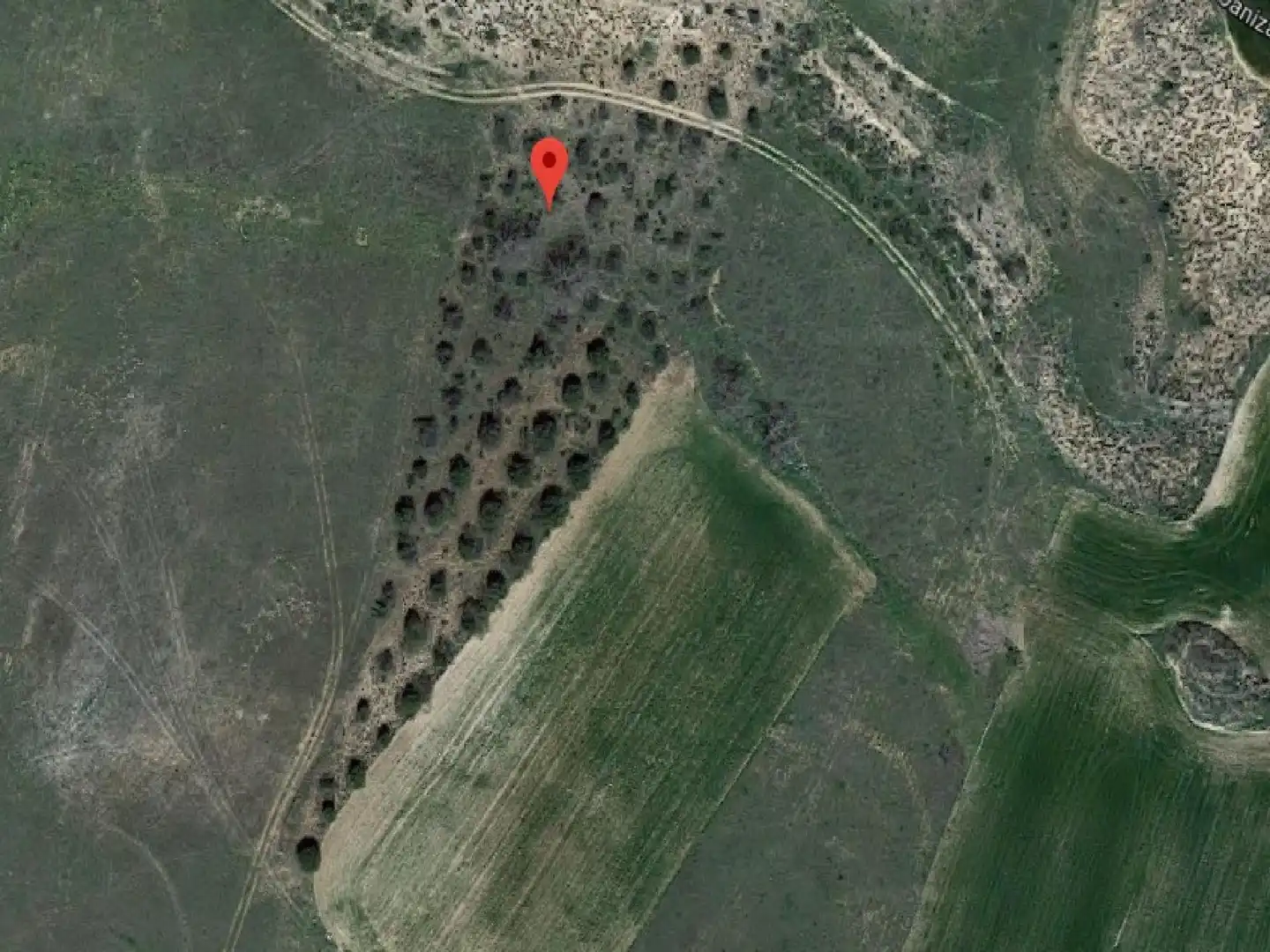 Terreny rústic en venda a Tórtola de Henares, imagen 5