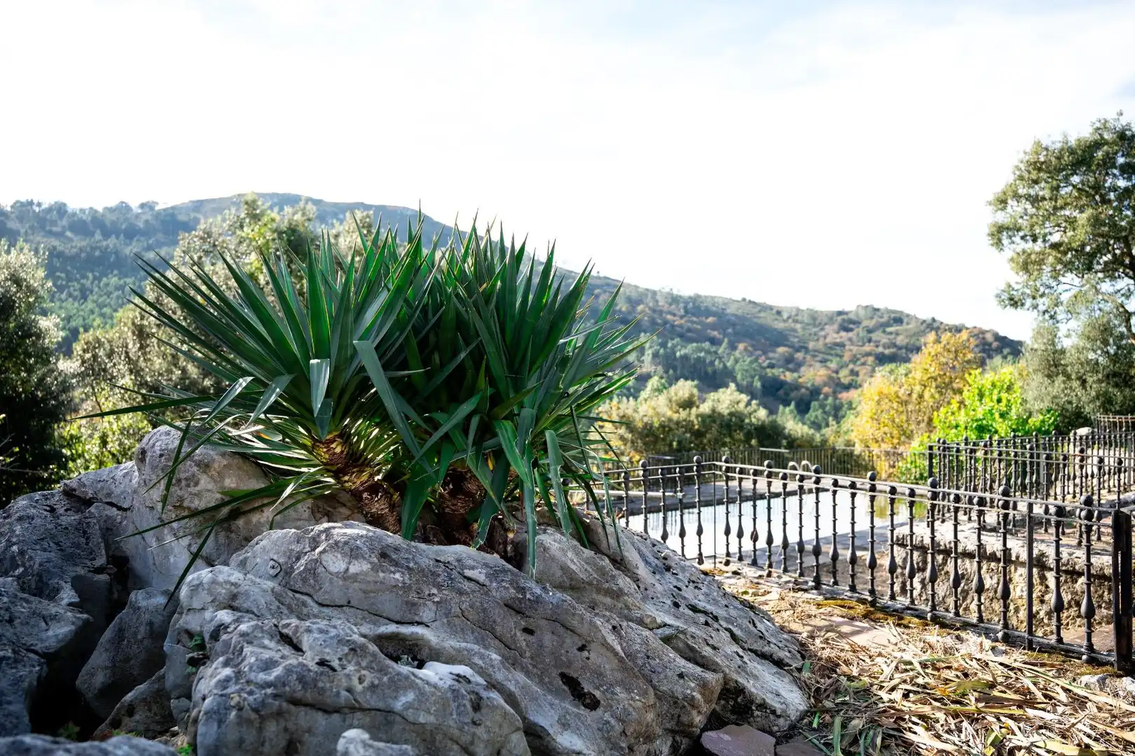 Jardí de Casa o xalet en venda en Villaescusa (Cantabria) amb Calefacció, Jardí privat i Terrassa