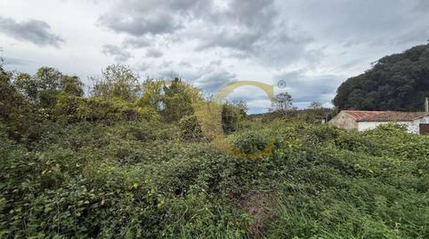 Photo 3 of Residential for sale in Bricia, Posada - Barro, Asturias