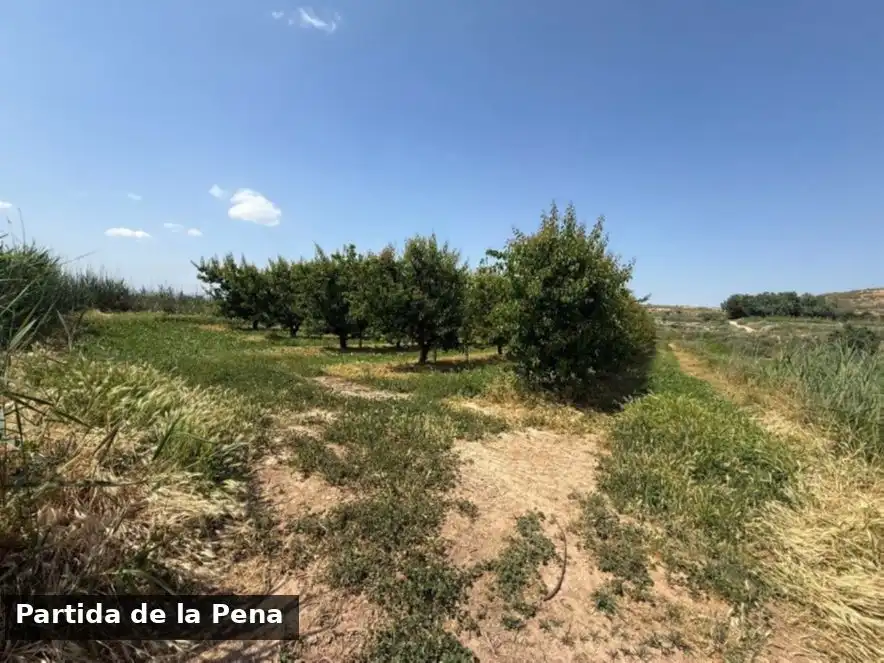 Terreno en venta en Puigverd de Lleida, Lleida