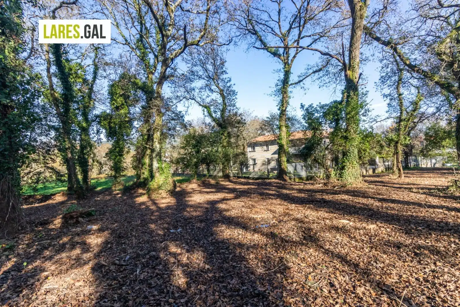 Lands and plots for sale in Rúa Ximeu, imagen 19