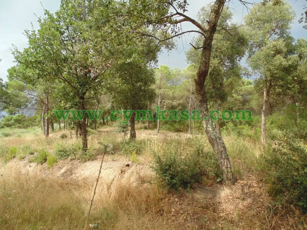 Rural land for sale in Montbarbat, imagen 5