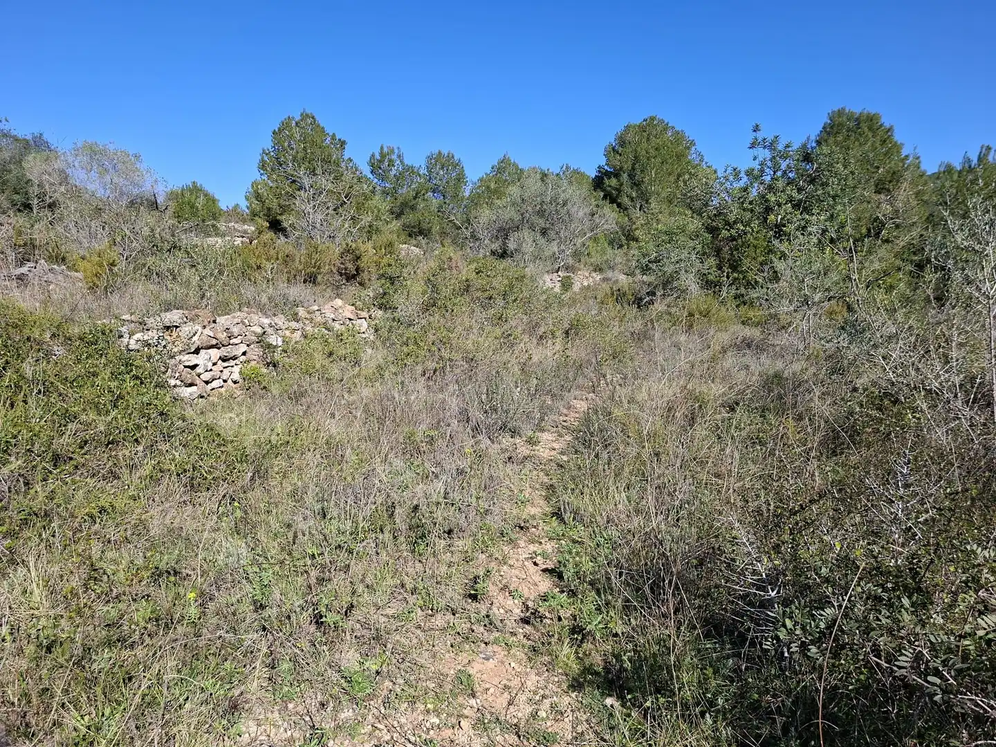 Terreny rústic en venda a Ulldecona, imagen 21