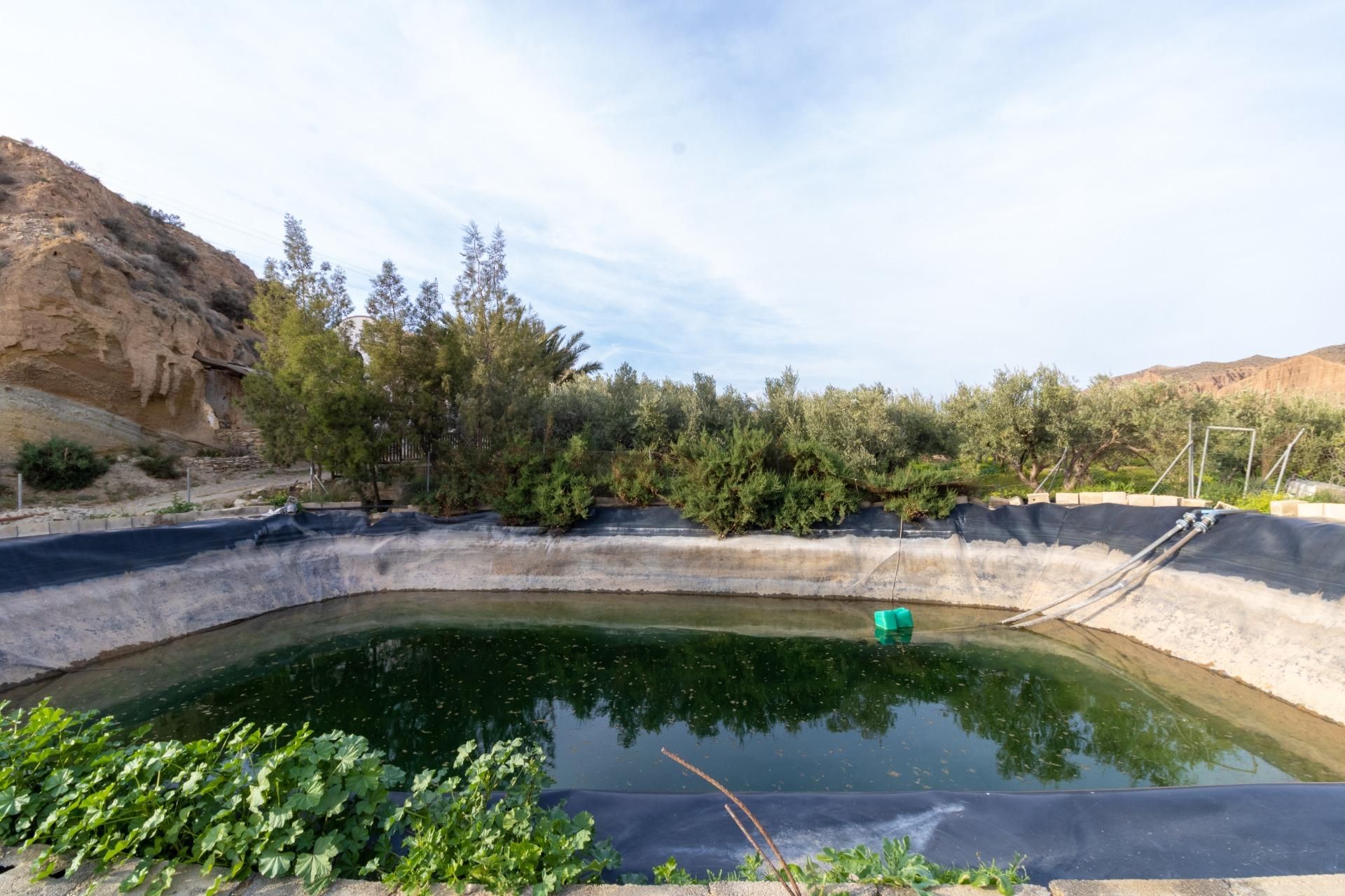 Swimming pool of Residential for sale in Alhabia