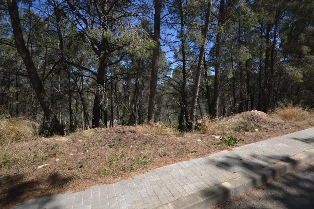 Rural land for sale in c/ can macia, imagen 33