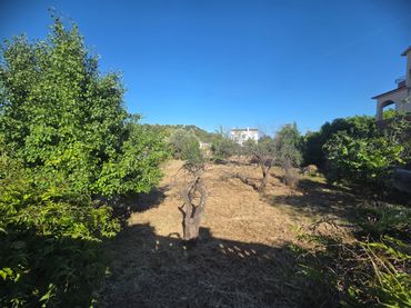 Terreno rustico in vendita a Masquefa