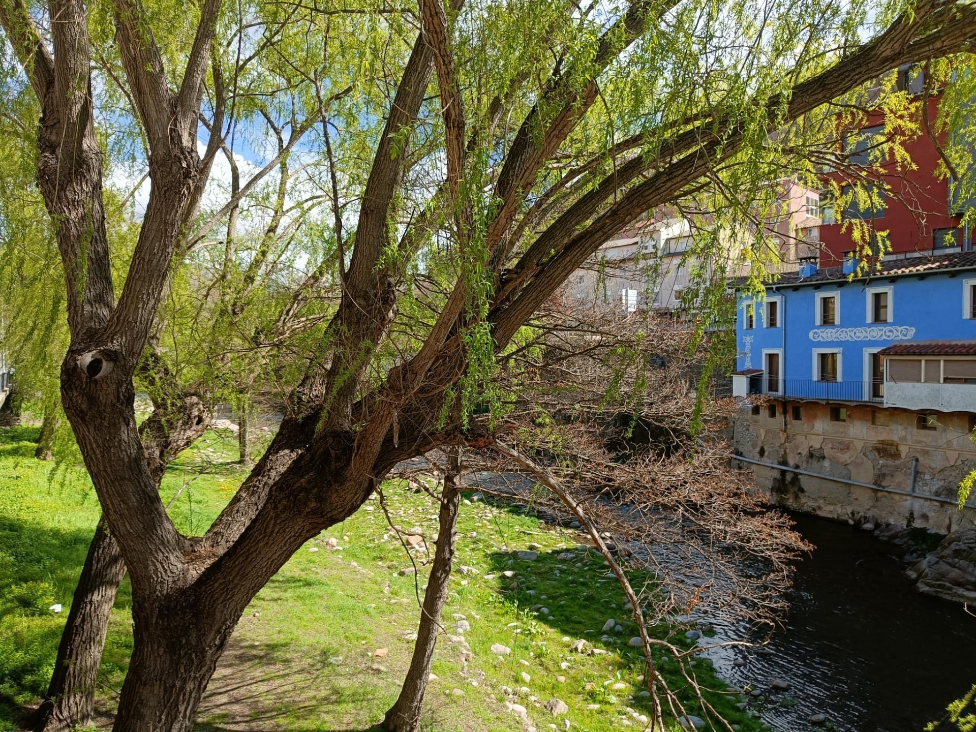 Garden of Building for sale in Ripoll