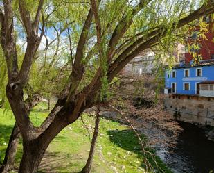 Garden of Building for sale in Ripoll