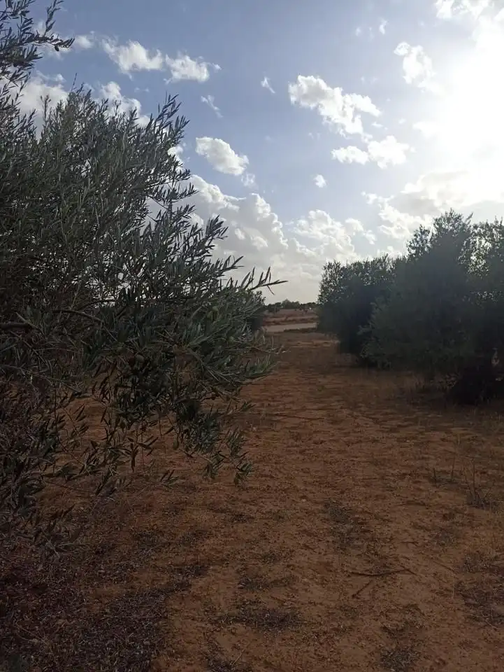 Terreni e lotti in vendita a Tarancón