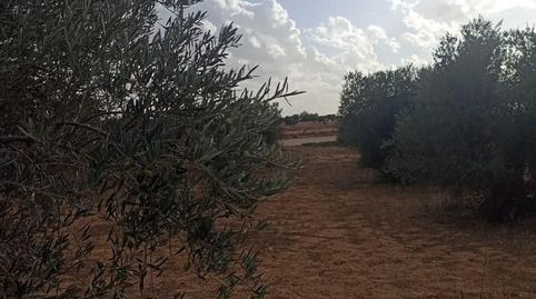 Este terreno se encuentra en POLIGONO 507 - PARCELA 5090 EN TARANCON. Es un terreno que tiene 1595 m2 de los cuales 1595 m2 son út
